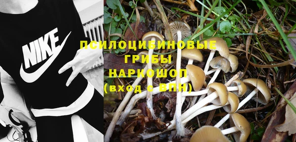 PSILOCYBIN Осинники