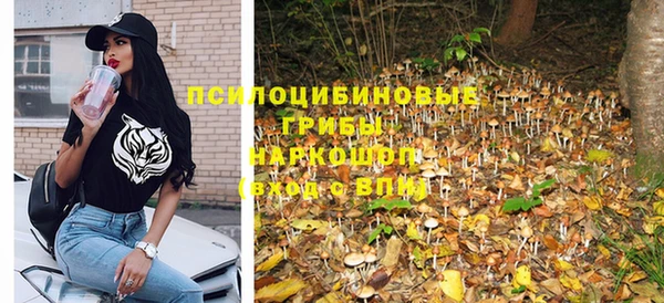 PSILOCYBIN Осинники